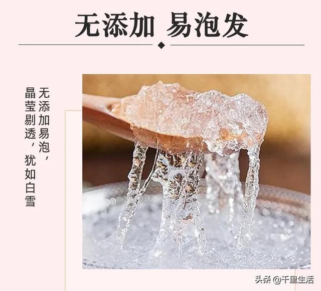 雪燕可以炖花胶吗 2026年雪燕胶和什么一起炖最好