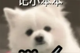 新疆话里的“虫子”图片