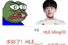 “辅助Ming去向争论图”火了，韩网热议加入HLE，队友全都会中文图片