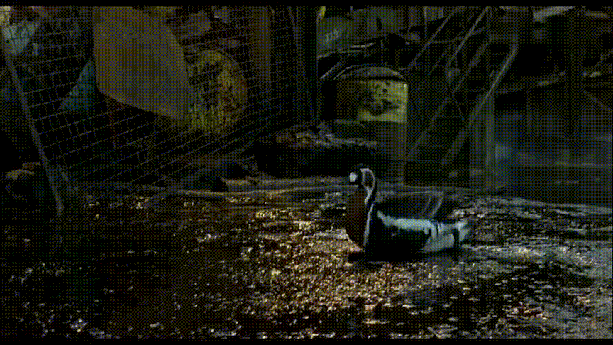 暑期强烈推荐！5部高分纪录片，知识点满满，一定要带孩子看