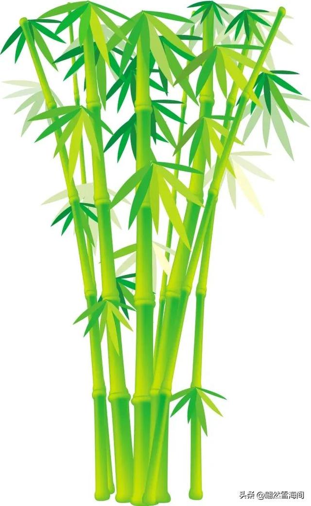 20句写竹的诗词：四季青翠，傲骨凌霜，读后感触颇深