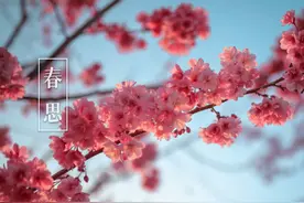 10首最美春思诗词，春风十里，甚是想你图片