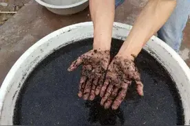 什么样的草木灰比较好？看颜色图片