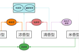 一图看懂12大香型之间的关系，谁是爸爸谁是儿子，一目了然图片