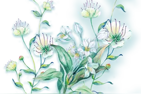 漂亮的花卉手绘图案，越看越喜欢图片