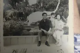 母亲回忆录图片