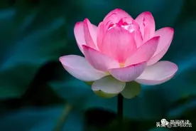 24首必背古诗文，逢考就有，务必背熟！图片