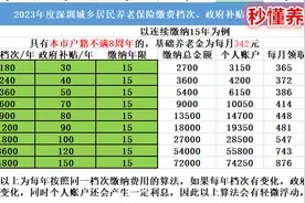 2023年度广东深圳城乡居民养老保险缴费档次，补贴标准，待遇领取图片