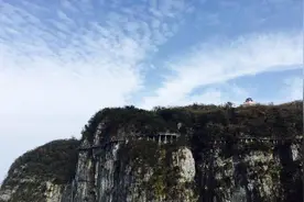 深挖“3男一女服毒跳崖”事件，真相十分蹊跷：幕后竟有两大推手图片