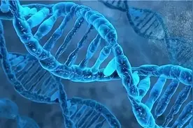 强直性脊柱炎的诊断标准图片