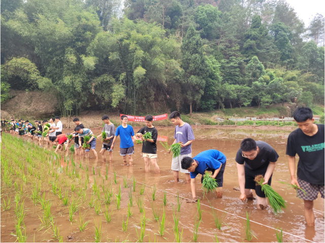 四川省民生研究会新媒体中心-官网