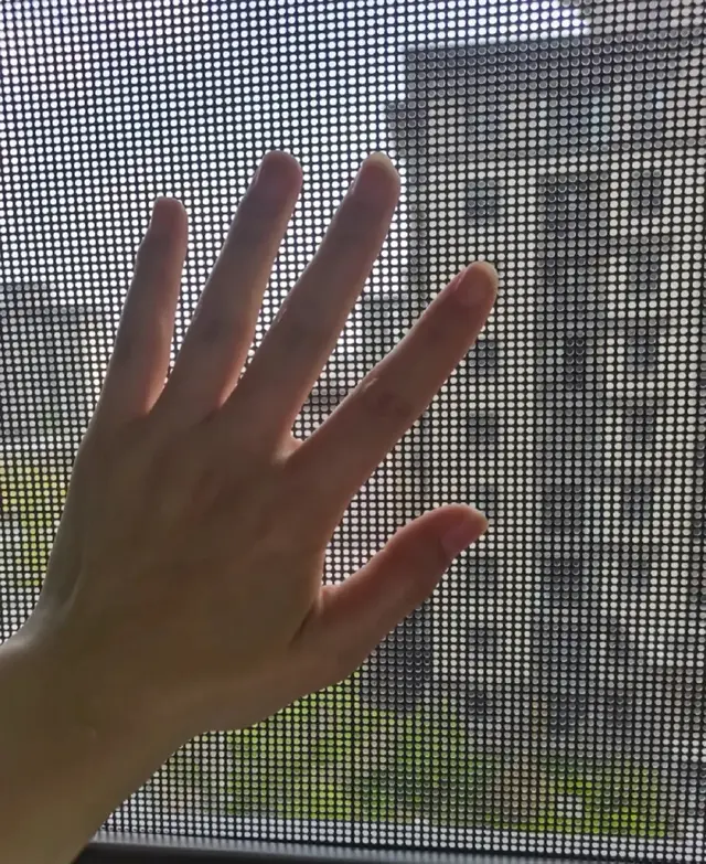 换了2次纱窗，我终于明白了200元金刚网和100元高透网的区别