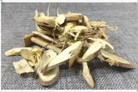 乡下常见的中药：棉花根，甘补温通，煮水喝，能治肺癌，月经不调图片