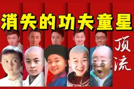 消失的功夫童星图片