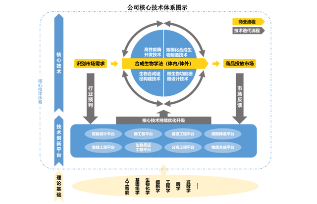 坐标上海：弈柯莱IPO，合成生物学明日之星；估值超50亿