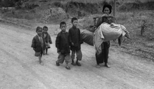 1945年，一个日本5口之家逃进中国原始森林，40年后结局令人意外