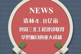 造林4.8亿亩 我国三北工程建设取得举世瞩目的重大成就图片