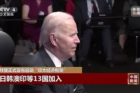 北约欲东扩至亚太地区，金一南：一厢情愿而已图片