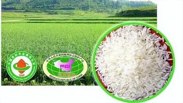 「品牌展播」中国地理标志农产品品牌展播（福建三明篇-上）