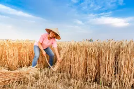 “三物进家有财喜，无病也无灾”，三物是指什么？有没有道理？图片