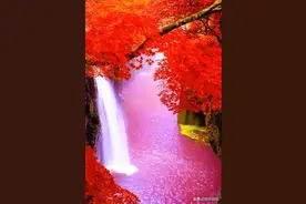 秋深处，坐看岁月漫漫，拥抱平平安安图片