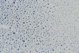 水是生命之源？这存在一个悖论图片