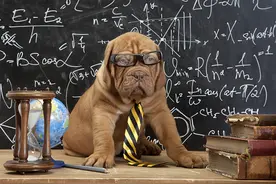 铲屎官分享自家宠物最聪明的瞬间…不是说好建国后不许成精吗图片