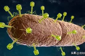 能对细菌进行“定点清除”？这样的药物真实存在吗？原创图片