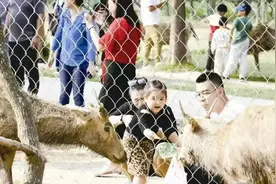 盐城：端午惠民 20家重点旅游景区免门票图片
