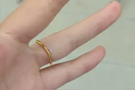 一场暴雨打落纷飞蚜虫，这样做可“药到虫除”图片