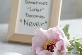 我做自媒体月入30000，收入是老公的3倍，老公说他准备躺平求包养图片