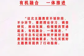 【海报】学习贯彻习近平新时代中国特色社会主义思想主题教育宣传（四）图片
