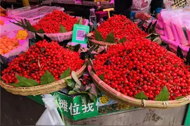 昆明本地樱桃大量上市 价格腰斩20-50元1公斤图片