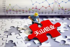 天山铝业研究报告：电解铝龙头积极拓展铝加工，业绩成长可期图片