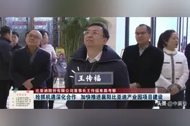 王传福评价襄阳！比亚迪百亿级超大项目基地选址曝光图片