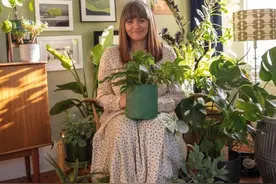 追寻自然的复古梦，英国女作家的绿色房子装修分享图片