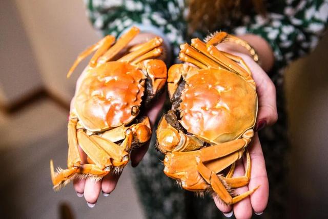 闲鱼蟹卡暴雷！上百人无法提货，“灰色狂欢”谁在纵容？