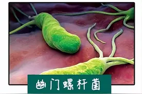 冲上热搜！一人感染致全家阳性，这病菌到底该咋防？图片
