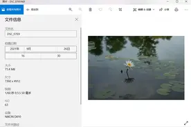 尼康D810你真的需要吗，真正适合的用户又是哪些？图片