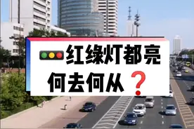 #交通安全知识点 #每天一个用车知识 红绿灯都亮是走还是停❓视频封面