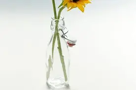 散文：内心有暖，席光而坐，向阳而生，逐光而行图片