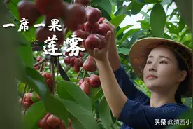 一席一果（十六）莲雾———长在树上的“矿泉水”图片