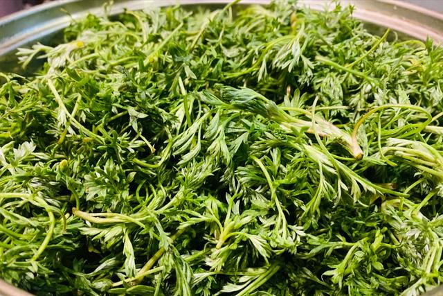 9种常见野菜的好处与吃法，作用一个比一个大，味道一个比一个鲜