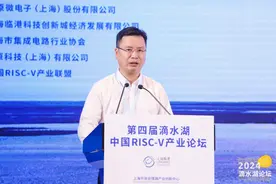 2023年临港新片区规上工业总产值完成4333亿，同比增长23%！图片