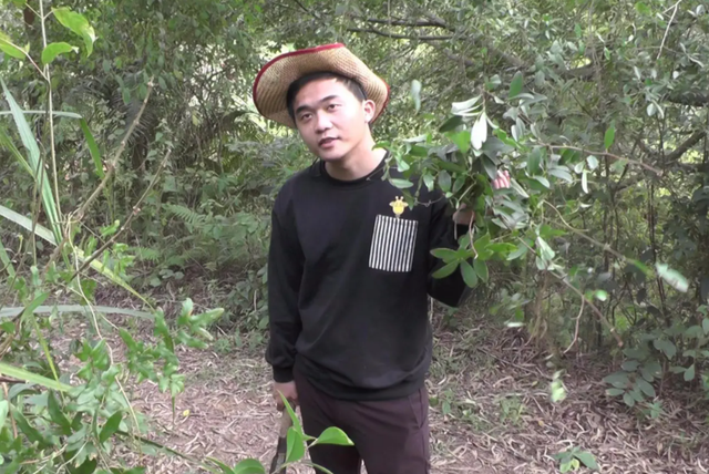 故事：踩了几棵大白菜，他被一顿暴打，却也由此改变了命运