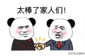 辛巴的“家人们”到底是怎样一种存在？图片