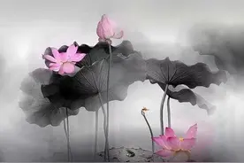 无所不用其极图片