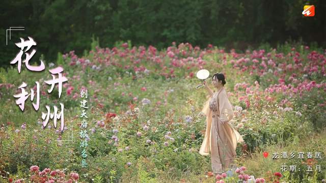 四川省民生研究会新媒体中心-官网