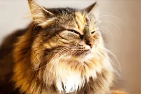 在北京，做无痛胃镜花销多少？图片