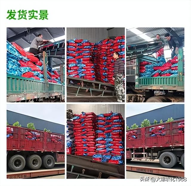 底肥选好 全年无忧 施底肥新方案！一底顶十追！是有机肥的数倍以上